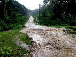 Komunidade Lore Kontinua halerik Ba kondisaun Estrada ne’ebe grave