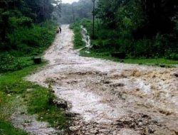 Kompañia Ilieção Mak Sei Aterru Estrada Postu Lore, Antes 20 De Maio