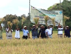 PAM hili Adriano Savio, Xefe grupu Agrikultura Modomau sai Extensionista iha Iliomar.