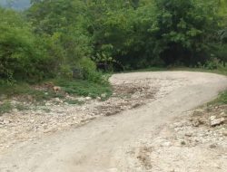 Komunidade Lore kontinua halerik ba estrada